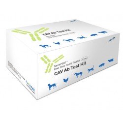 Test rapide de l'Adenovirus CAV sur les chiens....