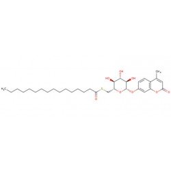 4-Méthylumbelliferyl 6-thio-palmitate-b-D-glyco...