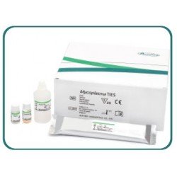 Kit Mycoplasma TIES,    La résistance aux antib...