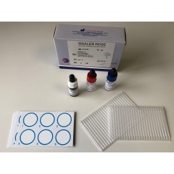 Test de détection du liquide amniotique par éco...