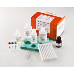\Test de detection de 37 HPV anogenital. Le tes...
