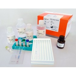 \Test de detection de 10 agents pathogenes asso...