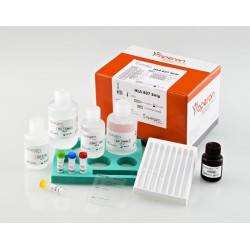 Bandelette de test de dépistage de drogue - 008WXXX - ulti med Products  (Deutschland) - d'urine / clinique / immunochromatographique