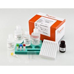 Test de genotypage des mutations ponctuelles as...